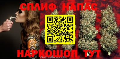 ПСИЛОЦИБИНОВЫЕ ГРИБЫ Краснознаменск