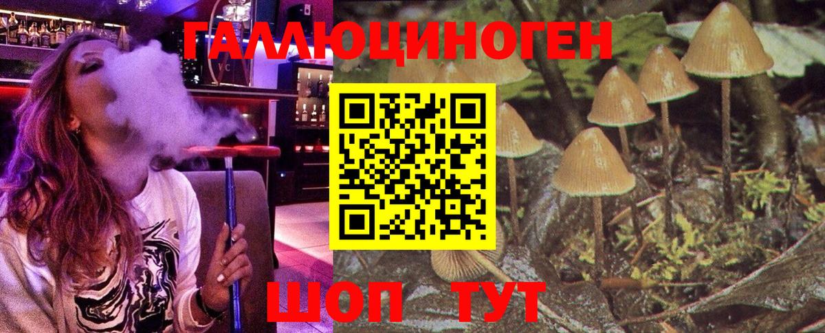 Галлюциногенные грибы MAGIC MUSHROOMS  Вход с VPN  продажа наркотиков  Галлюциногенные грибы GOLDEN TEACHER  Зеленокумск 
