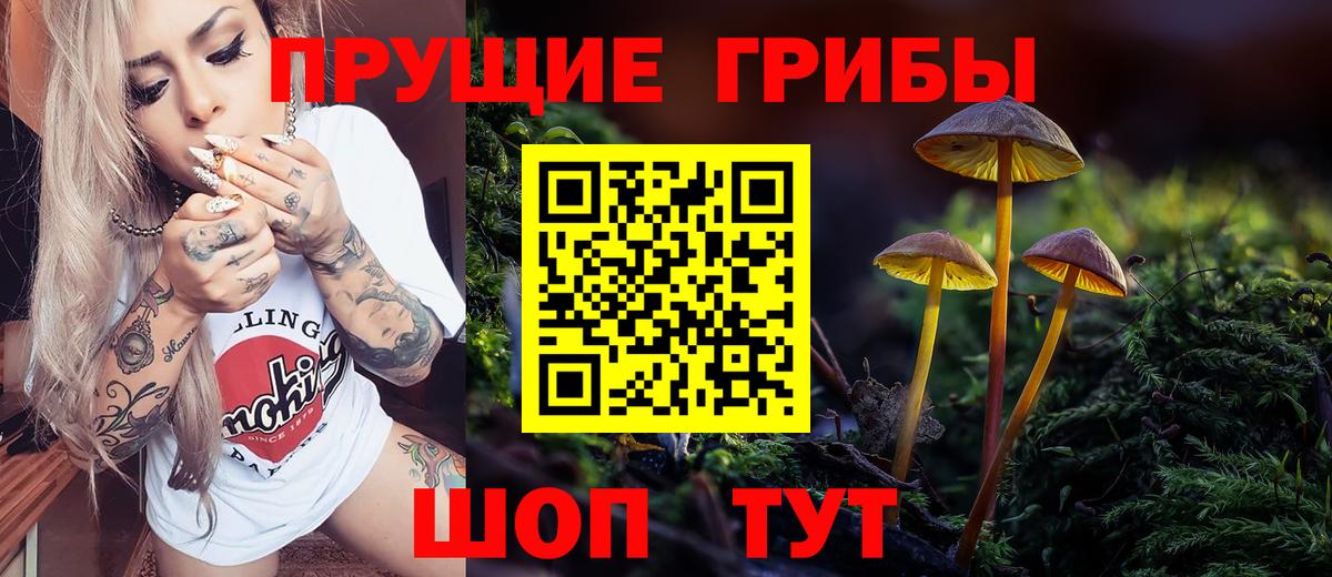 Галлюциногенные грибы MAGIC MUSHROOMS Зеленокумск